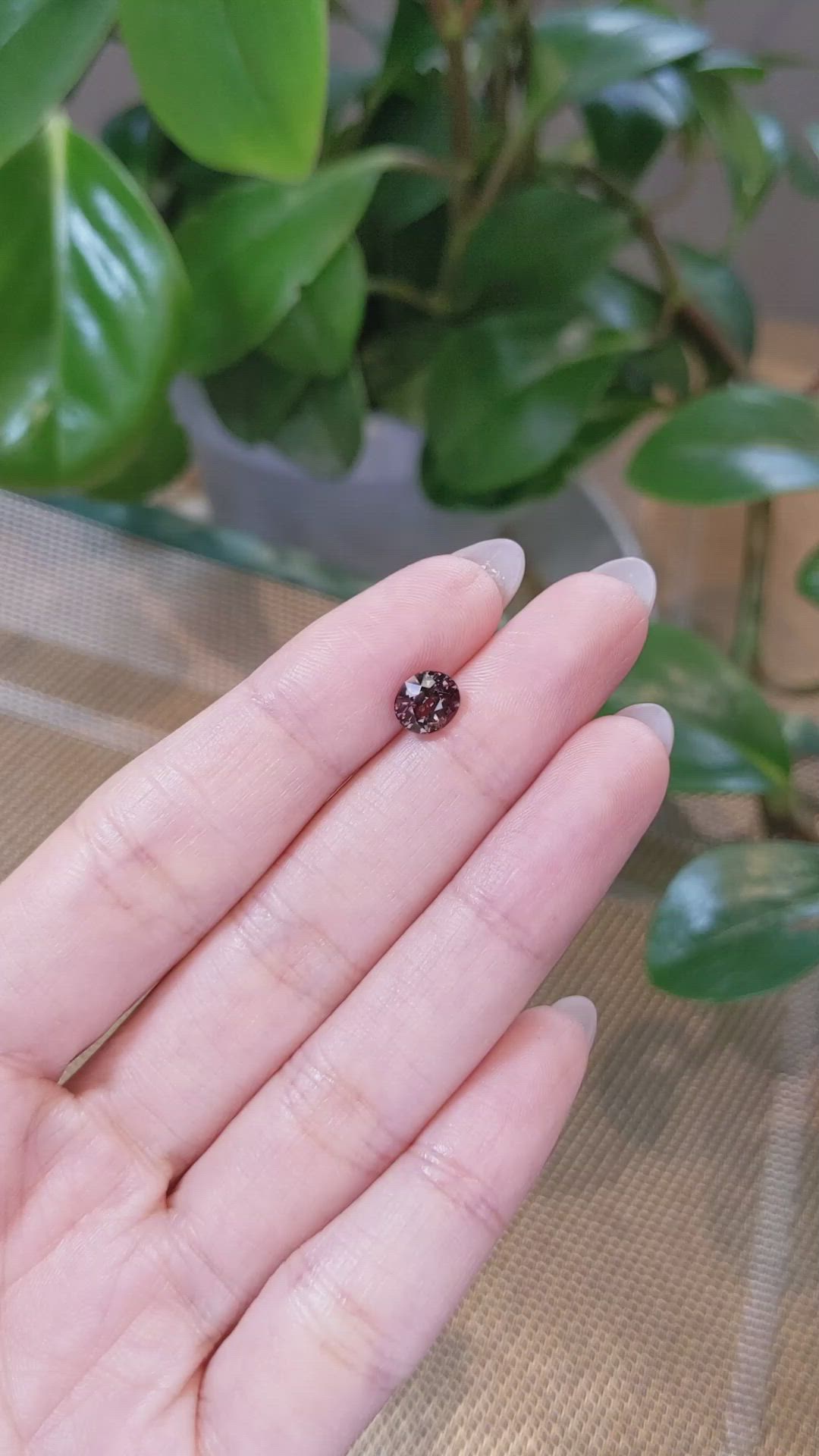 1.46 Ct. Bi Color Sapphire from Montana Size Video
