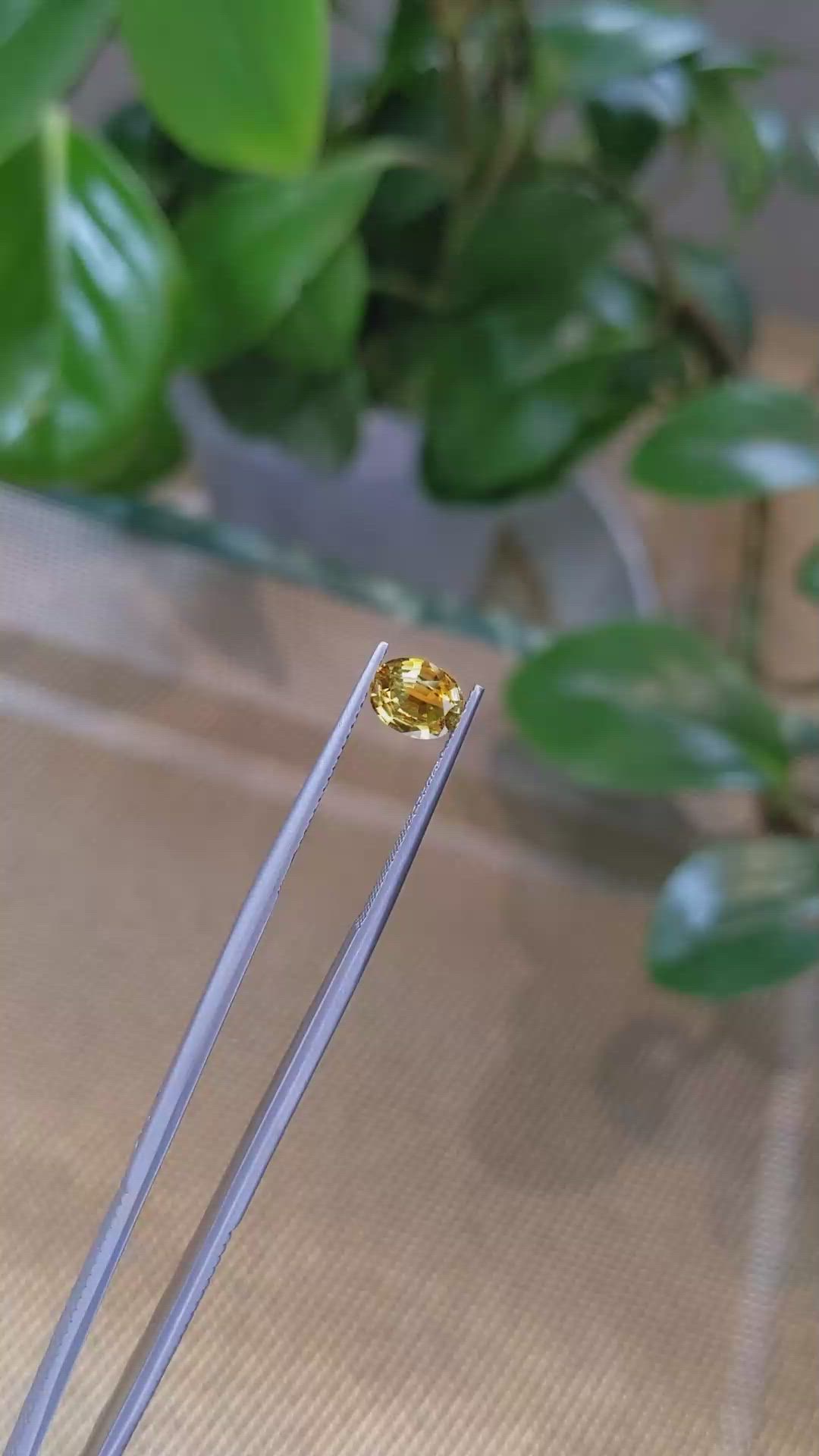 1.22 Ct. Bi Color Sapphire from Montana Size Video