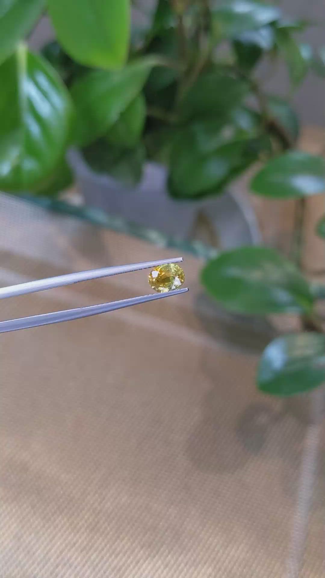 1.11 Ct. Bi Color Sapphire from Montana Size Video