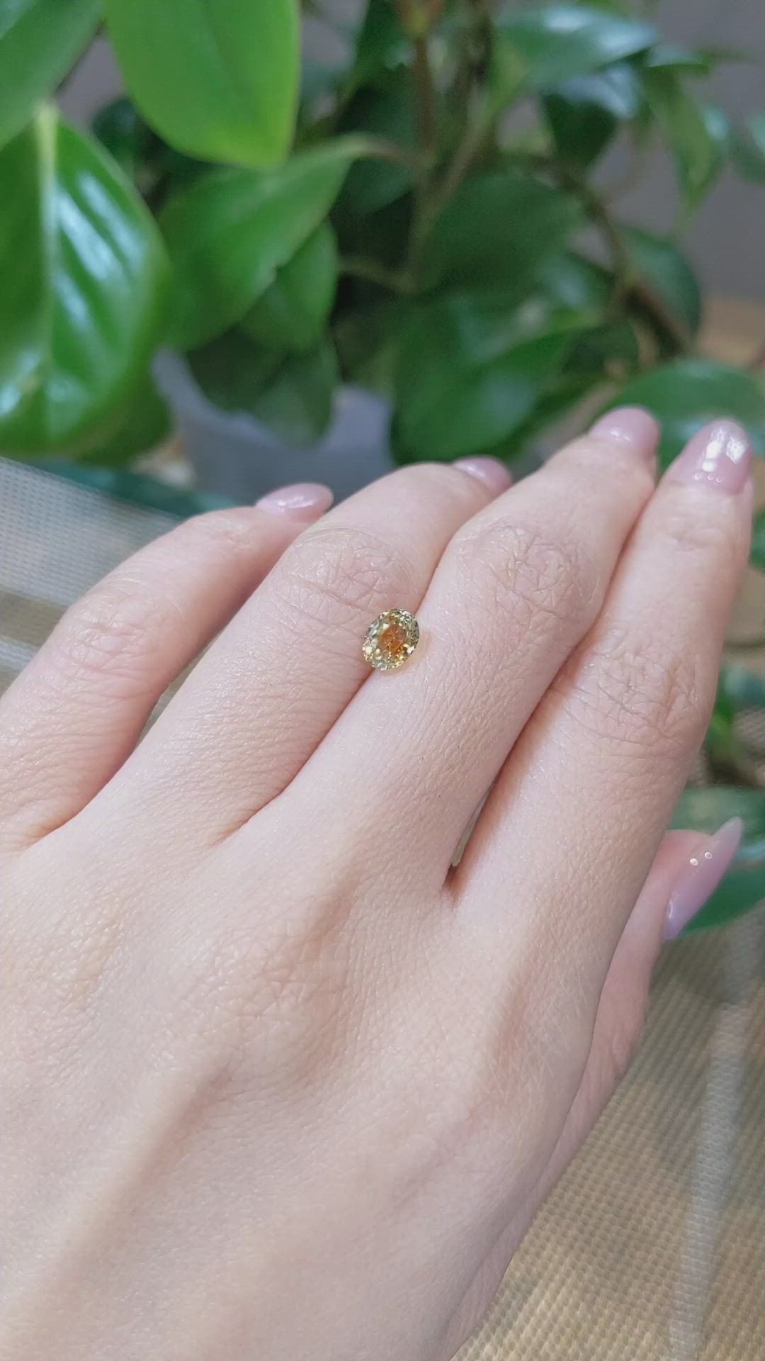 1.13 Ct. Bi Color Sapphire from Montana Size Video