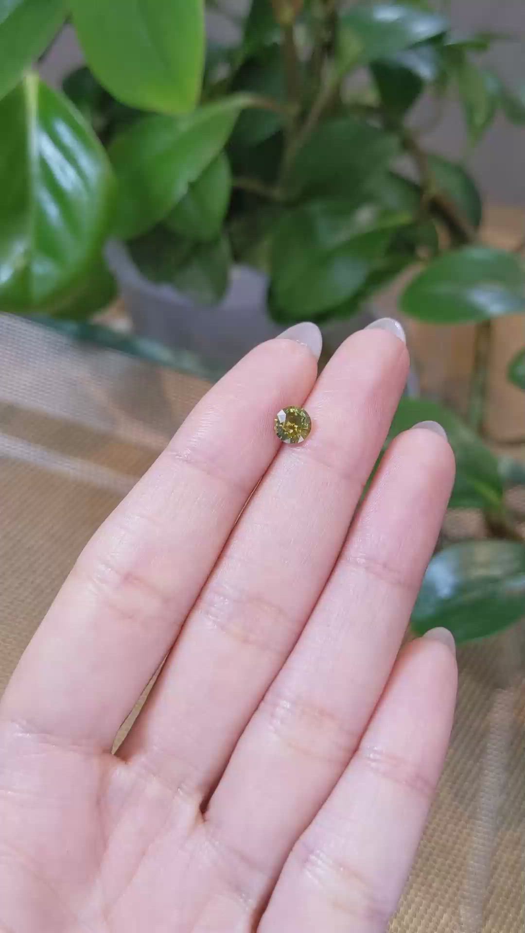 0.79 Ct. Yellowish Green Sapphire from Montana Size Video