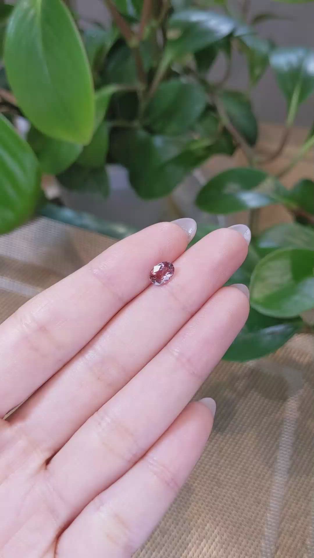 1.04 Ct. Bi Color Sapphire from Montana Size Video