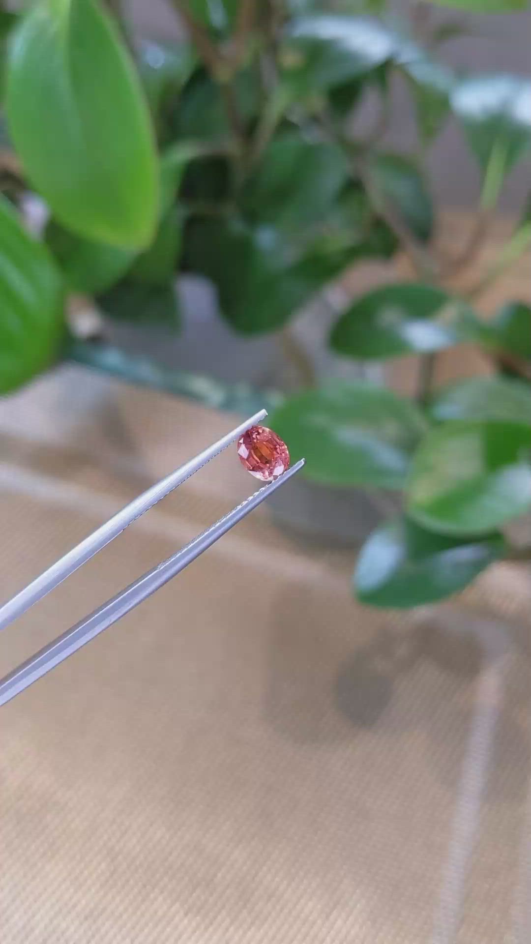 1.00 Ct. Bi Color Sapphire from Montana Size Video