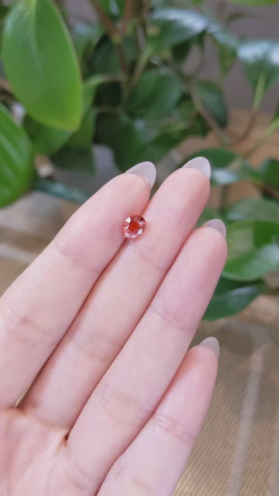 1.00 Ct. Bi Color Sapphire from Montana Size Video