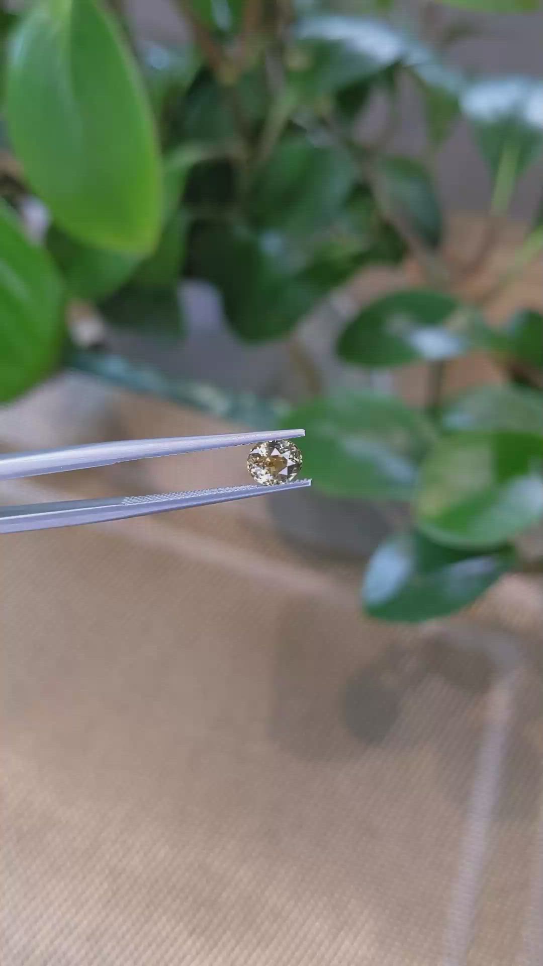 0.99 Ct. Bi Color Sapphire from Montana Size Video