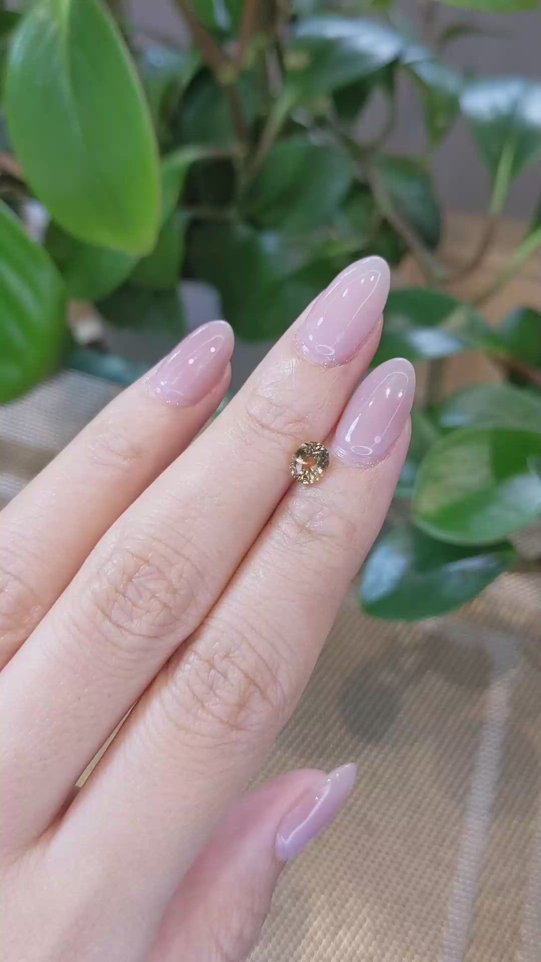 0.99 Ct. Bi Color Sapphire from Montana Size Video
