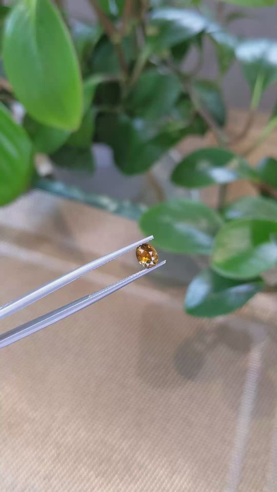 1.04 Ct. Bi Color Sapphire from Montana Size Video