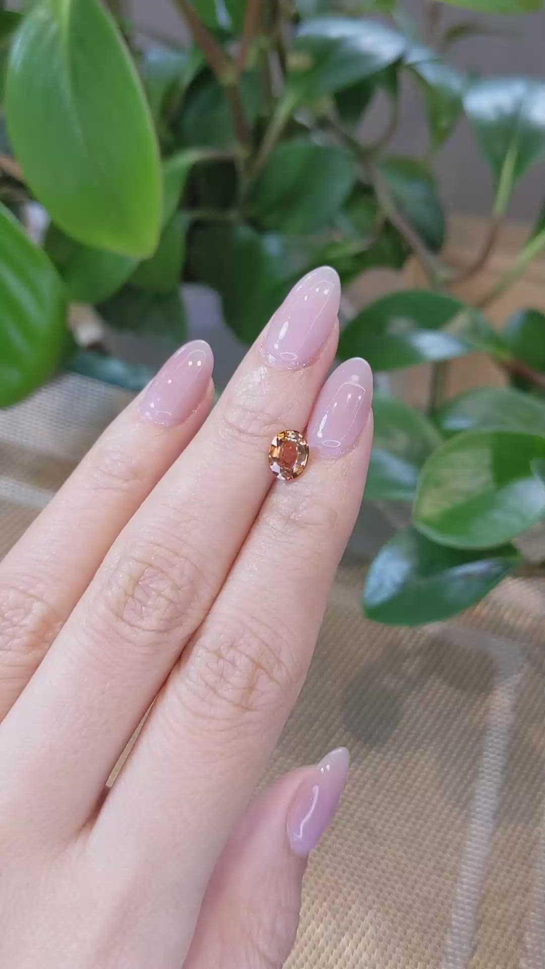 1.42 Ct. Bi Color Sapphire from Montana Size Video
