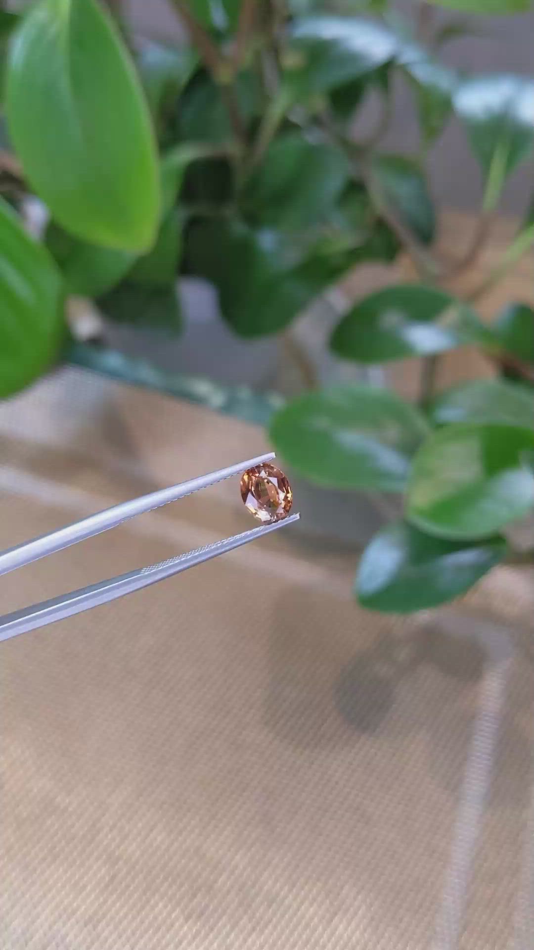 1.42 Ct. Bi Color Sapphire from Montana Size Video