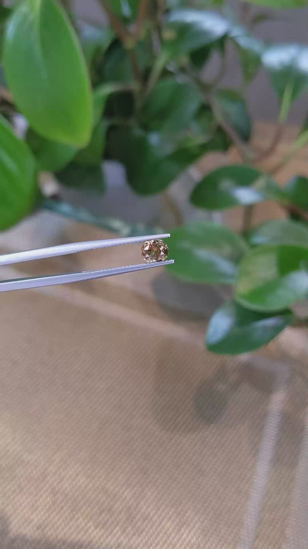 1.13 Ct. Bi Color Sapphire from Montana Size Video