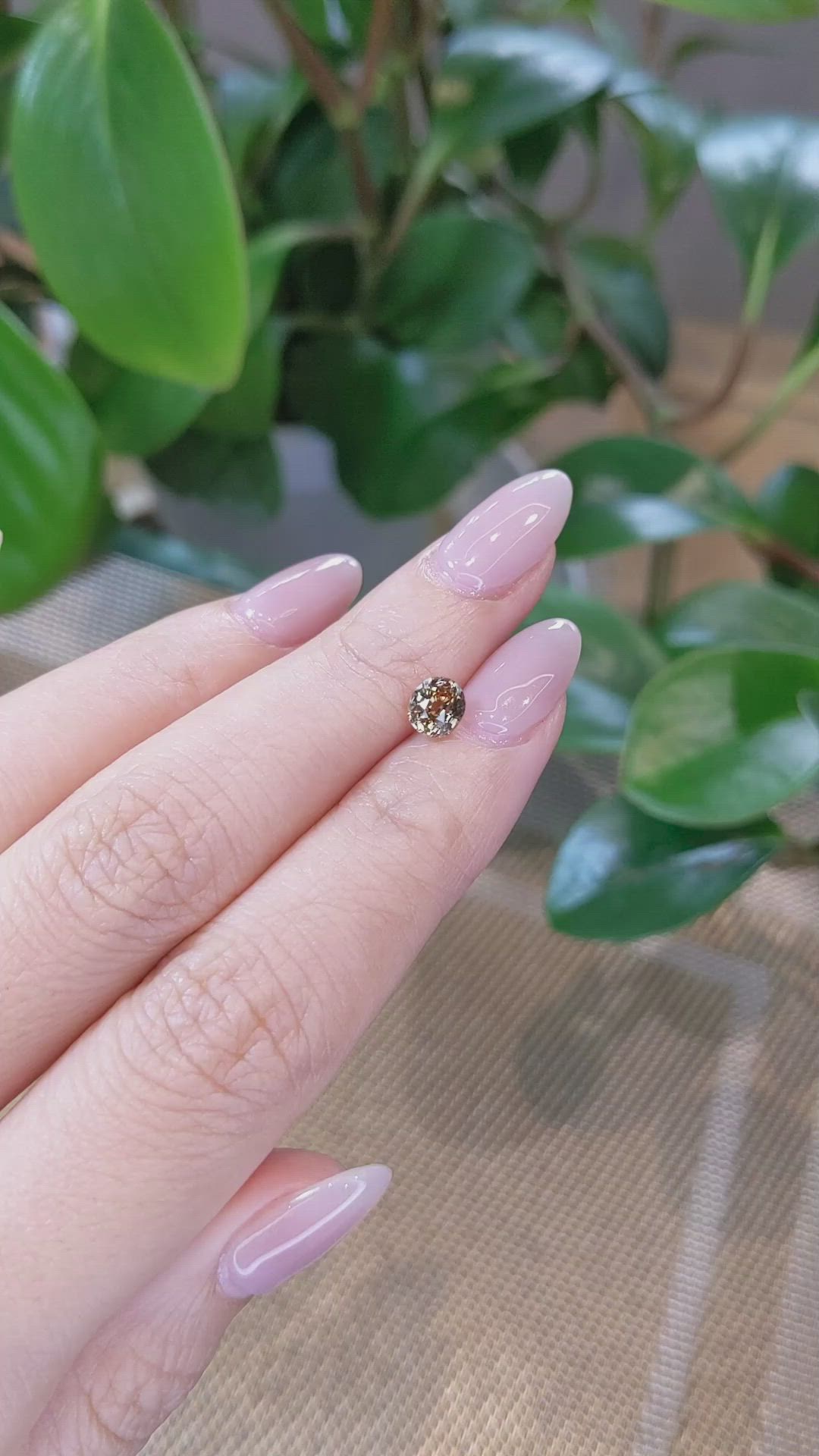 1.04 Ct. Bi Color / Parti Sapphire from Montana Size Video