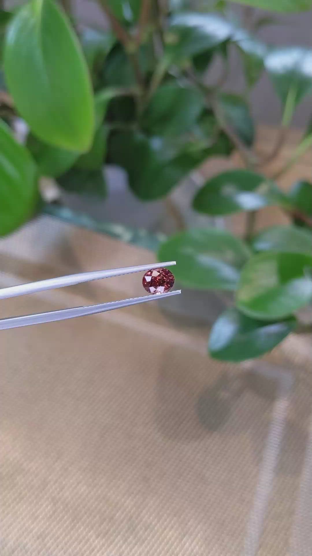 1.45 Ct. Bi Color Sapphire from Montana Size Video