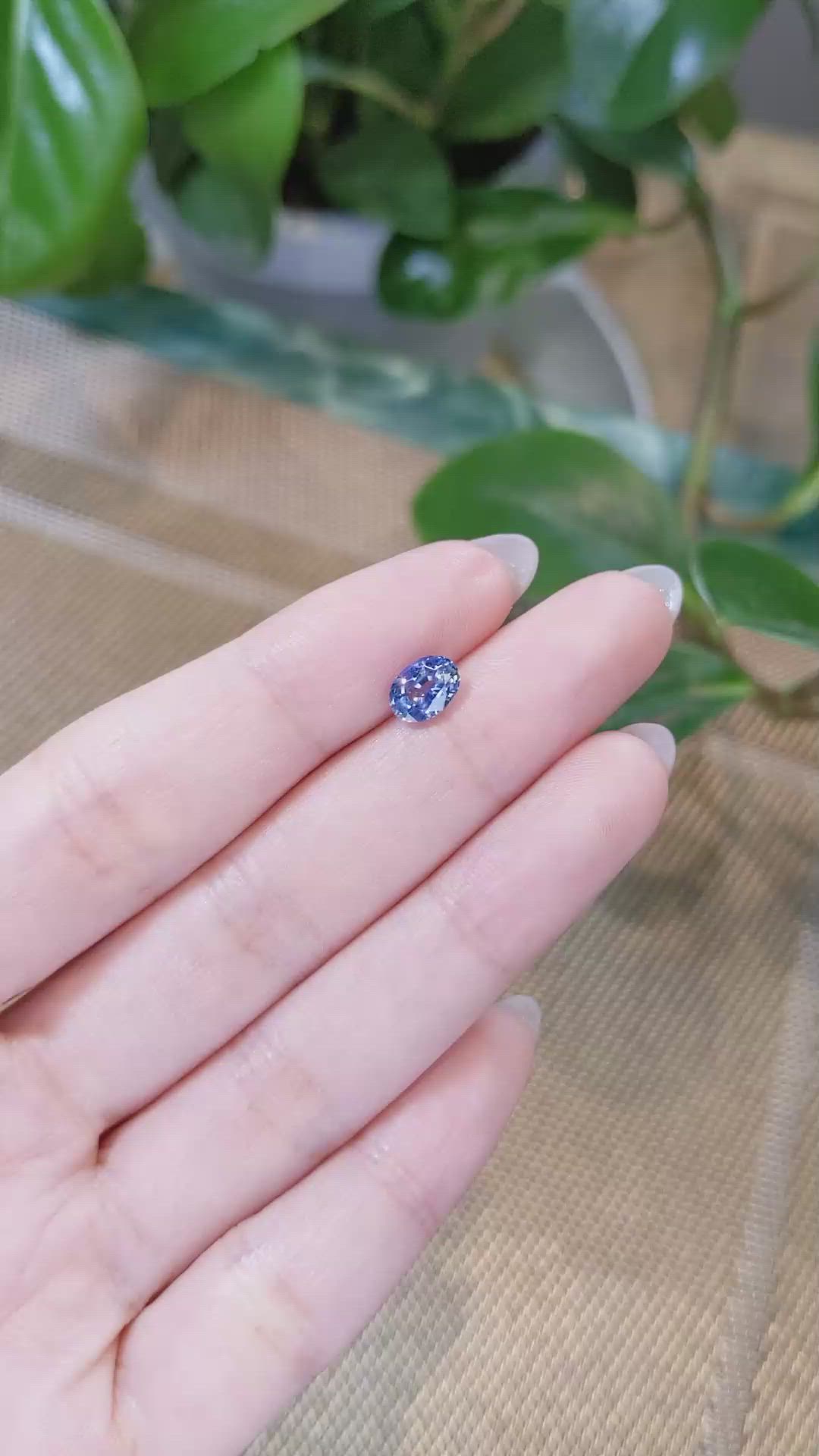1.31 Ct. Bi Color Sapphire from Ceylon (Sri Lanka) Size Video