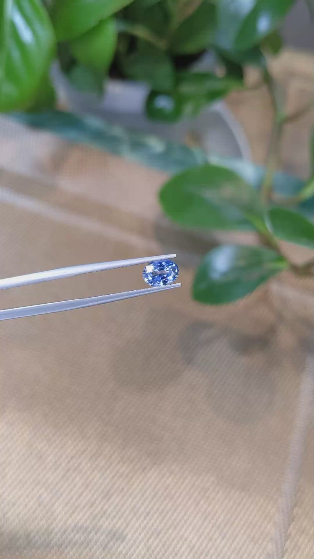 1.31 Ct. Bi Color Sapphire from Ceylon (Sri Lanka) Size Video