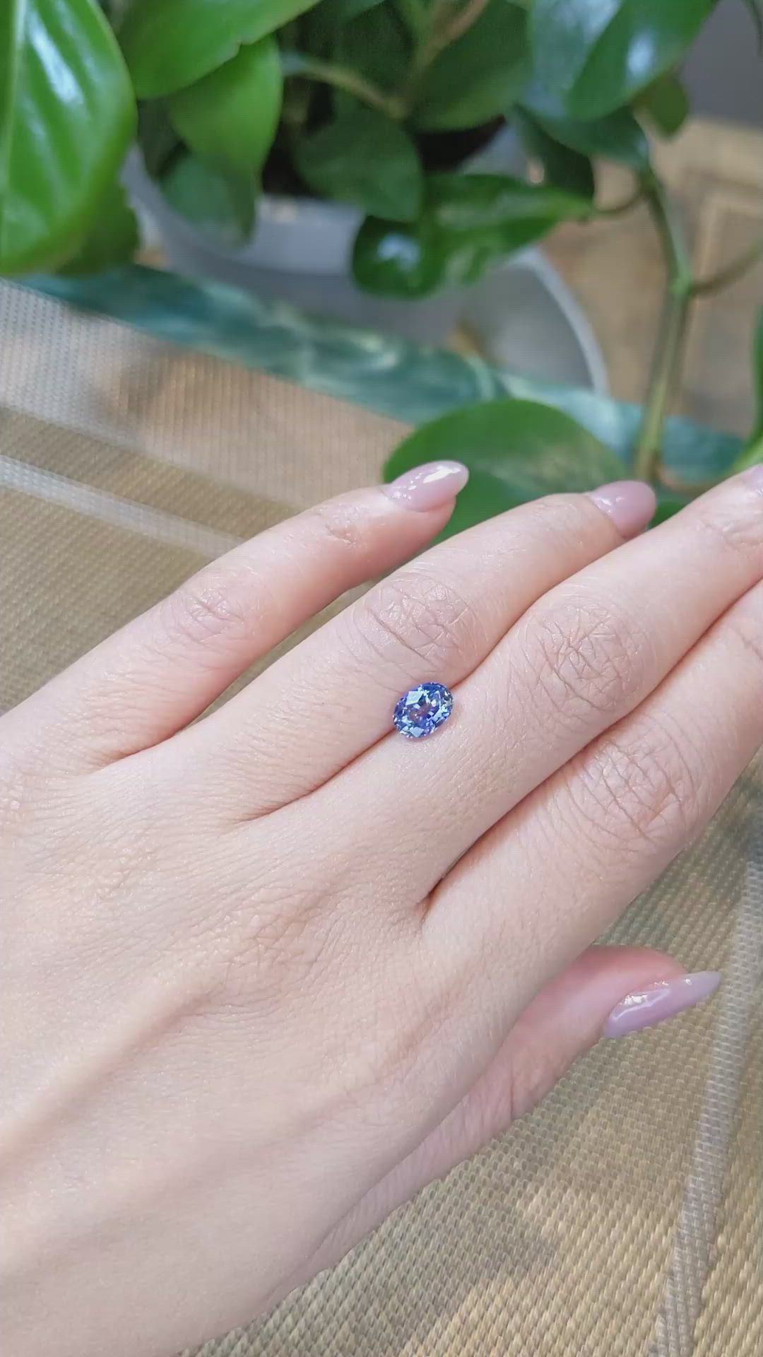 1.31 Ct. Bi Color Sapphire from Ceylon (Sri Lanka) Size Video