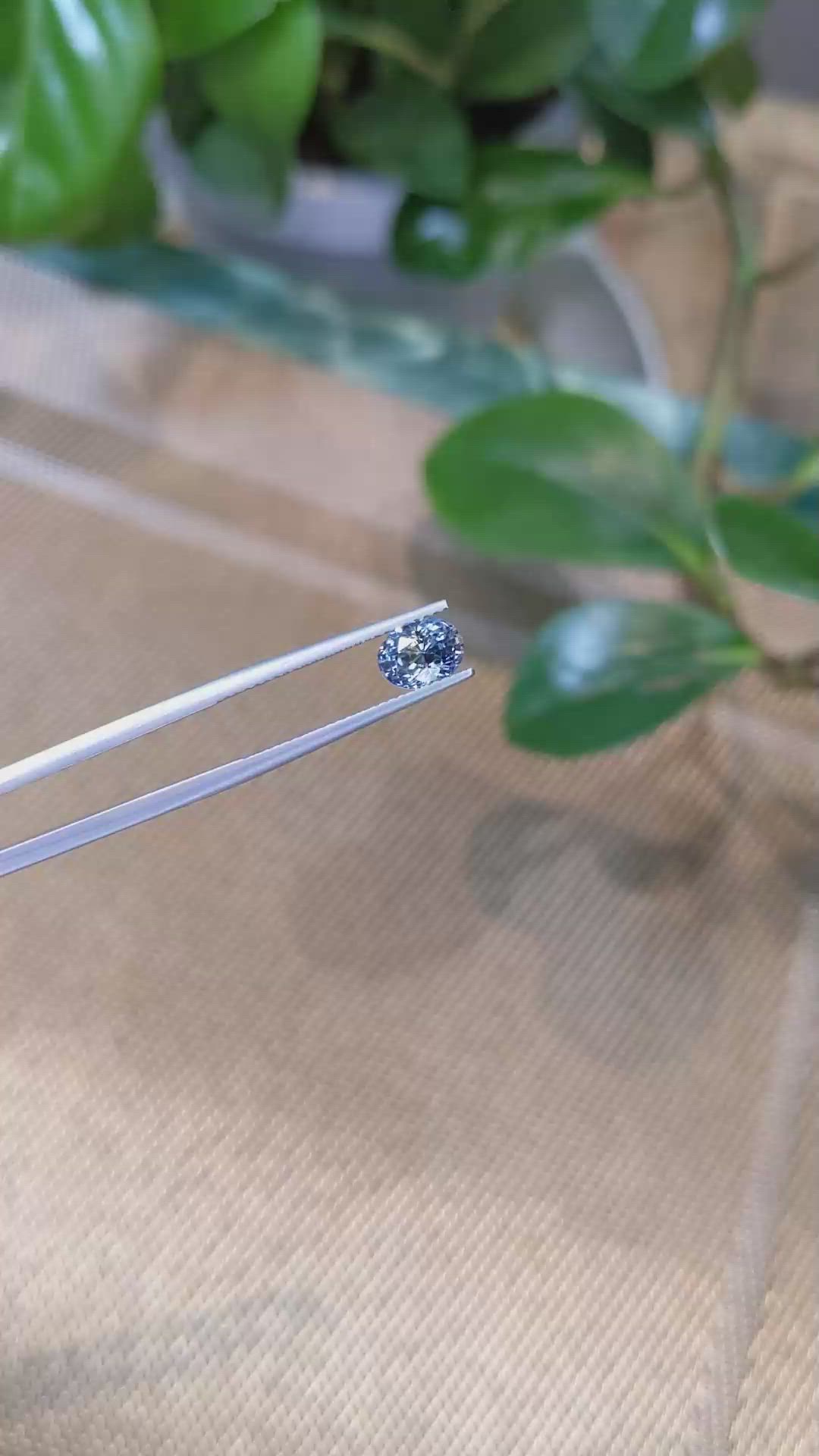 1.48 Ct. Bi Color Sapphire from Ceylon (Sri Lanka) Size Video