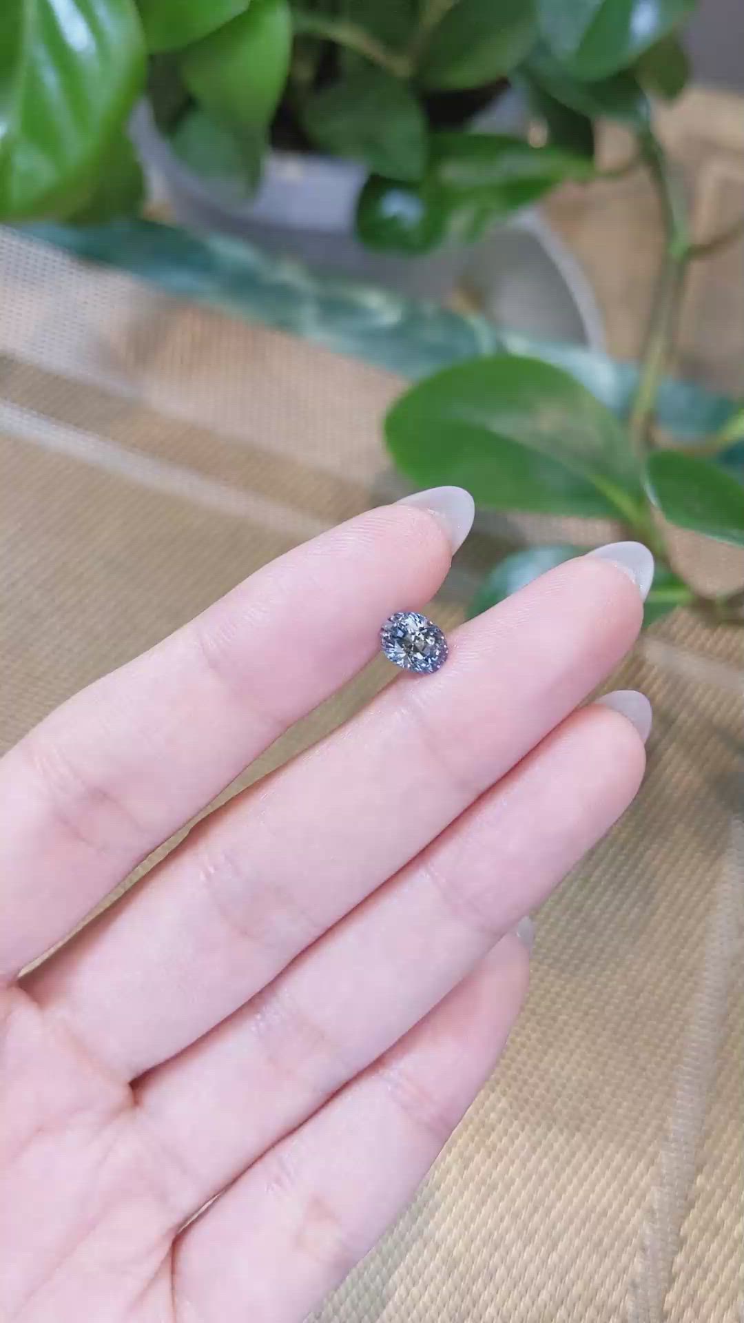 1.48 Ct. Bi Color Sapphire from Ceylon (Sri Lanka) Size Video