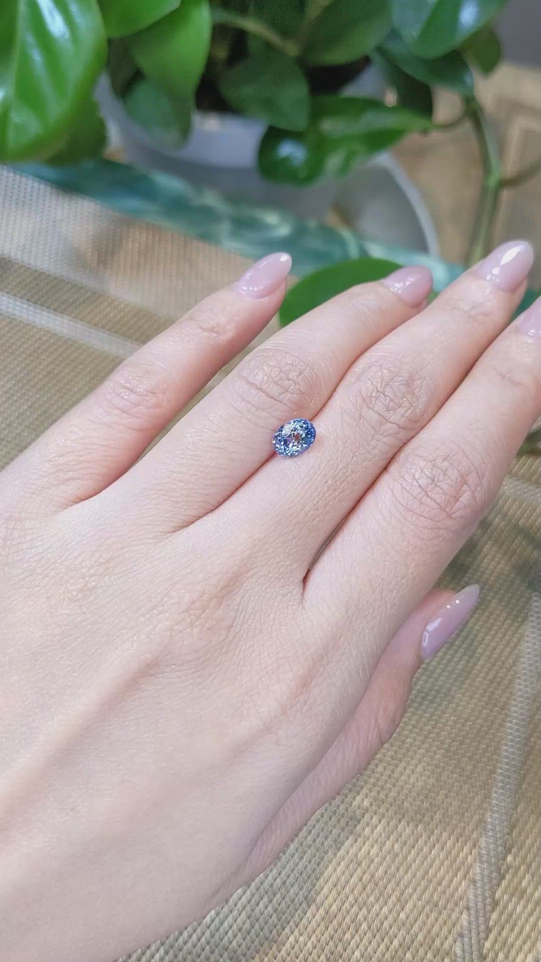 1.48 Ct. Bi Color Sapphire from Ceylon (Sri Lanka) Size Video