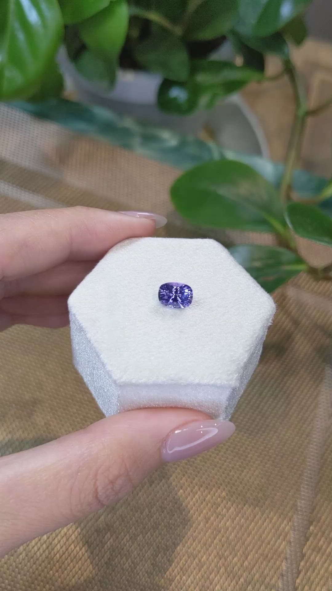 1.81 Ct. Violet Sapphire from Ceylon (Sri Lanka) Size Video