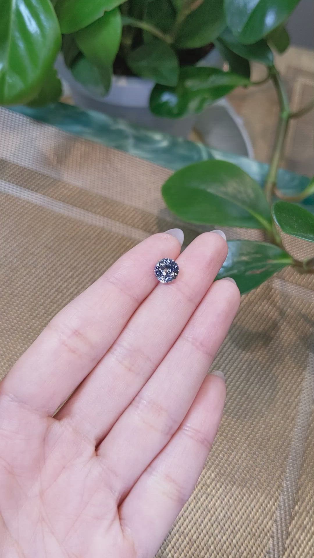 2.10 Ct. Bi Color Sapphire from Ceylon (Sri Lanka) Size Video