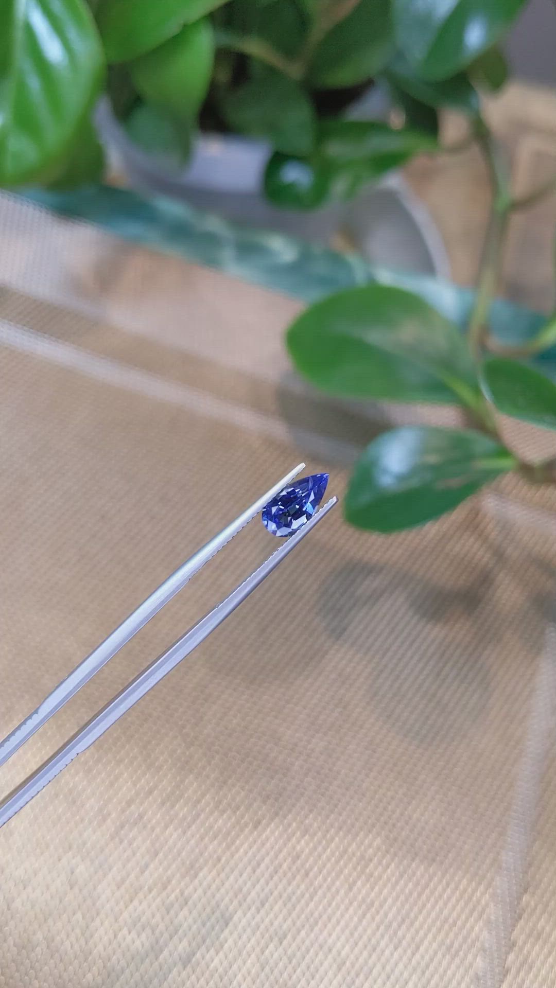 1.62 Ct. Blue Sapphire from Ceylon (Sri Lanka) Size Video