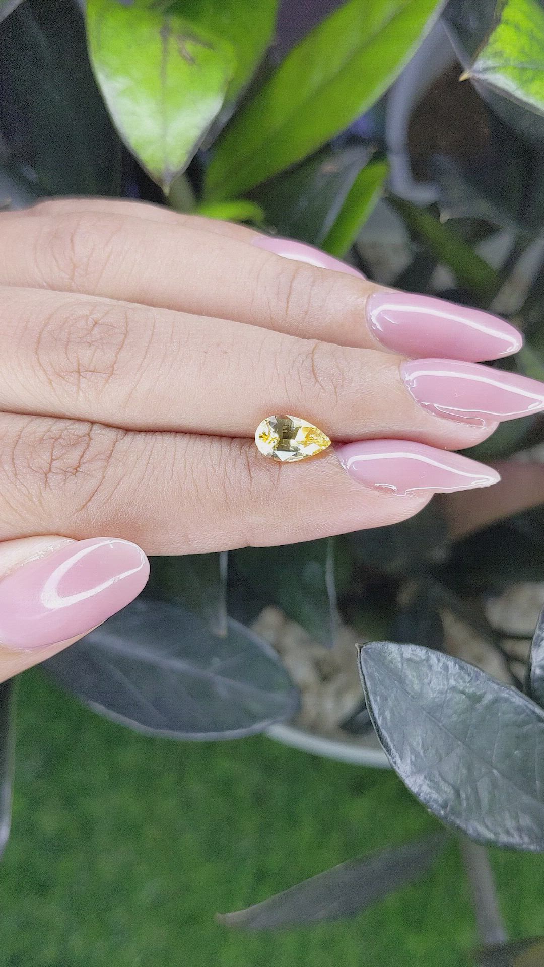 1.50 Ct. Yellow Sapphire from Ceylon (Sri Lanka) Size Video