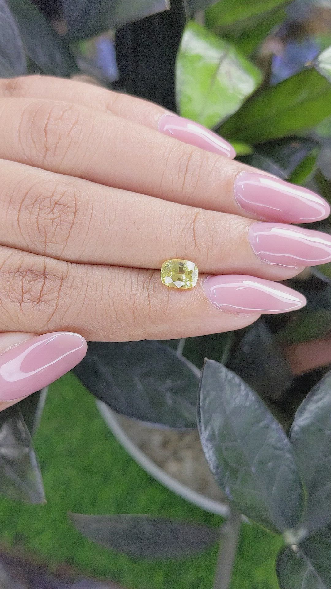 1.15 Ct. Yellow Sapphire from Ceylon (Sri Lanka) Size Video