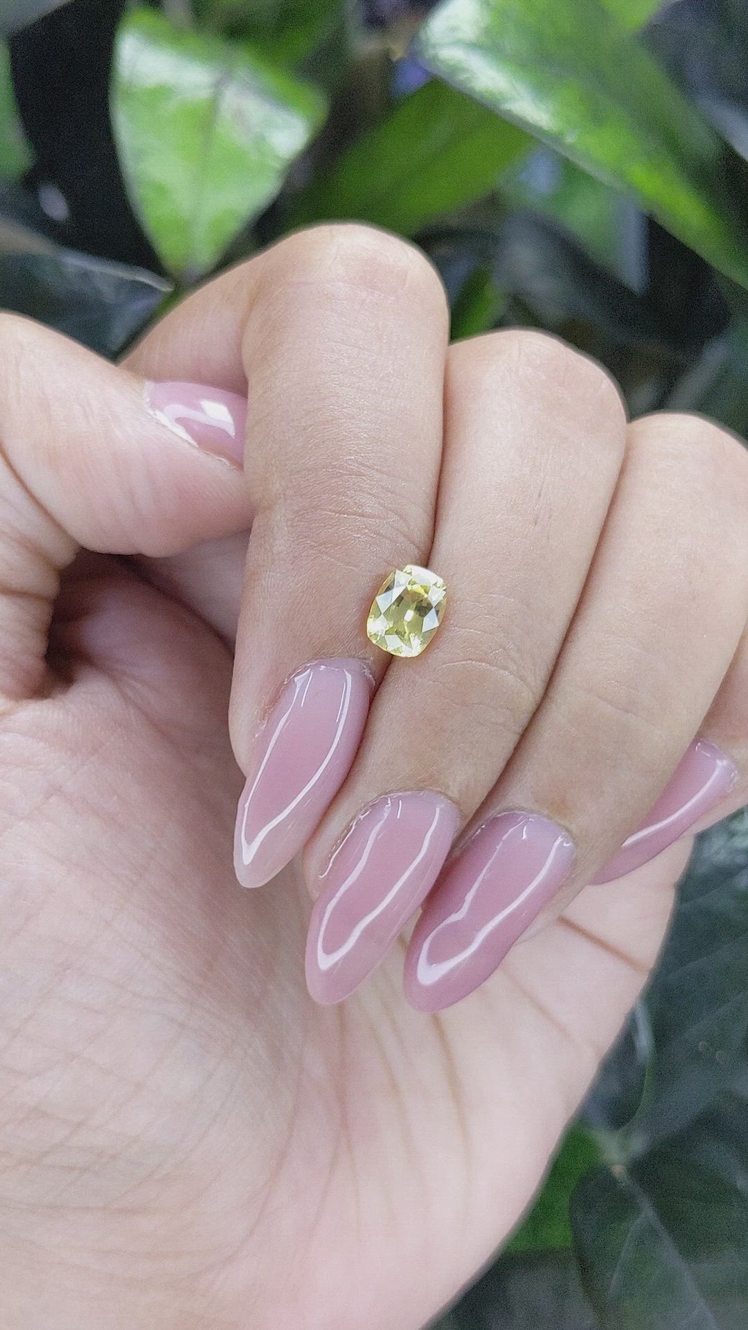 1.15 Ct. Yellow Sapphire from Ceylon (Sri Lanka) Size Video