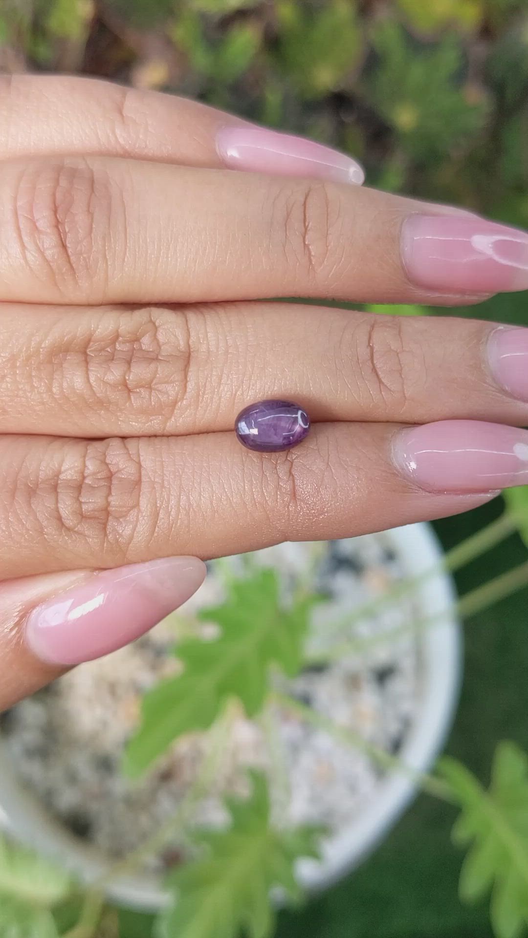 2.92 Ct. Purple Star Sapphire from Ceylon (Sri Lanka) Size Video