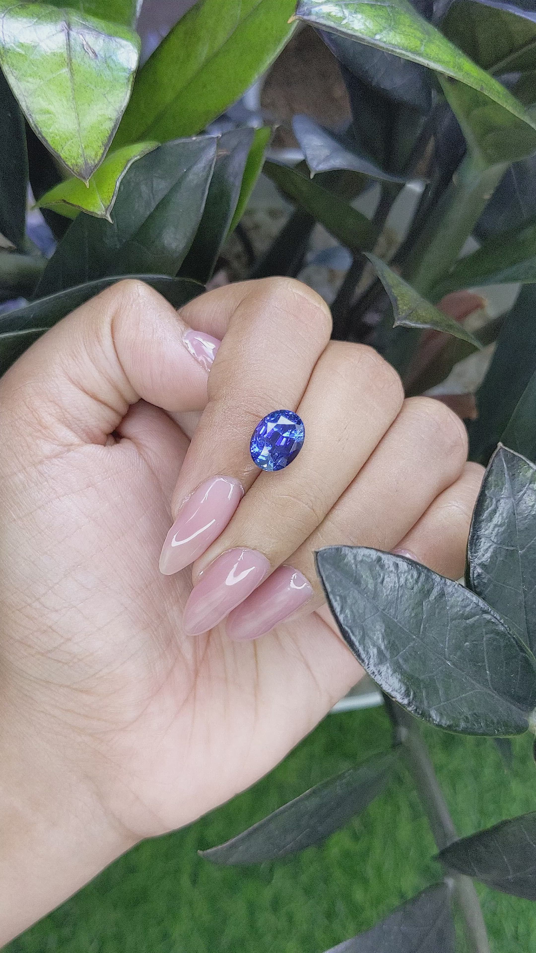 5.00 Ct. Blue Sapphire from Ceylon (Sri Lanka) Size Video