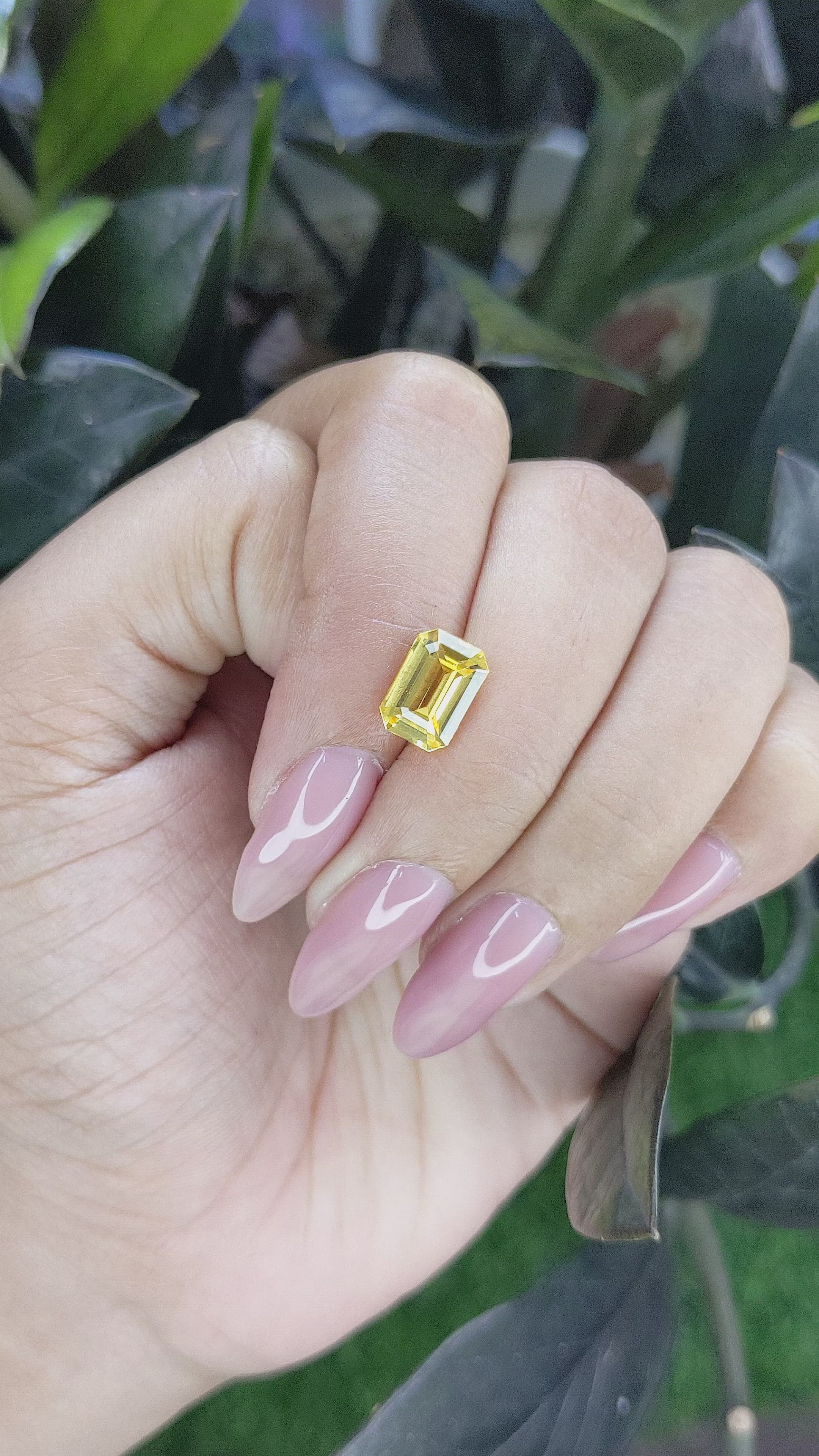 2.78 Ct. Yellow Sapphire from Ceylon (Sri Lanka) Size Video