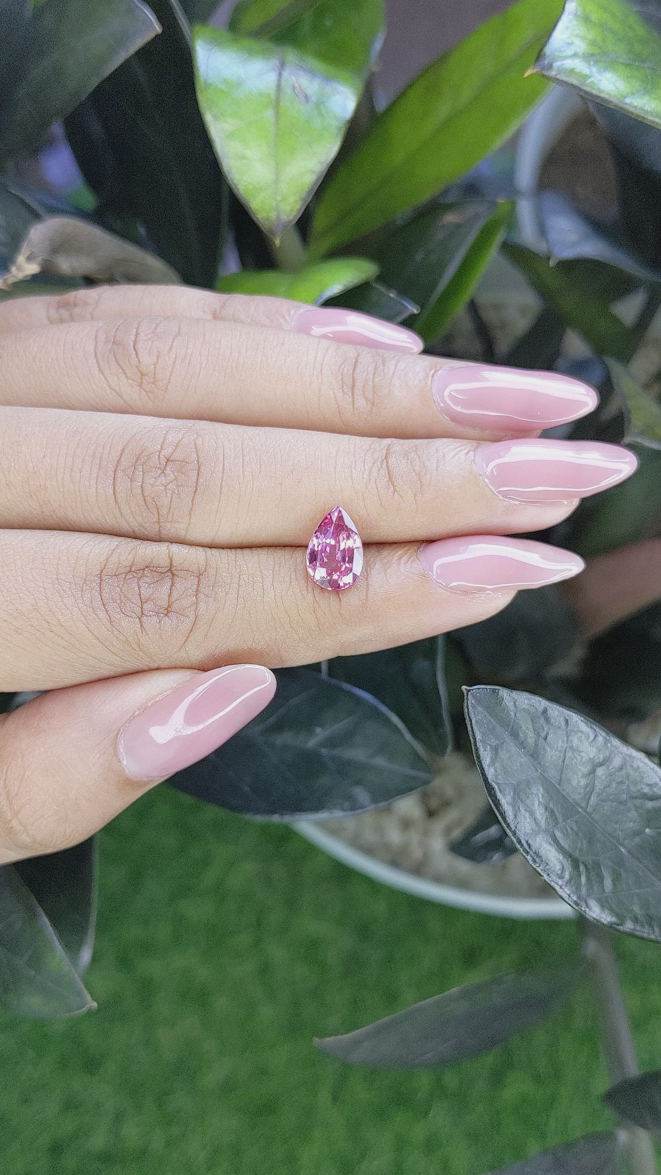 2.21 Ct. Pink Sapphire from Ceylon (Sri Lanka) Size Video