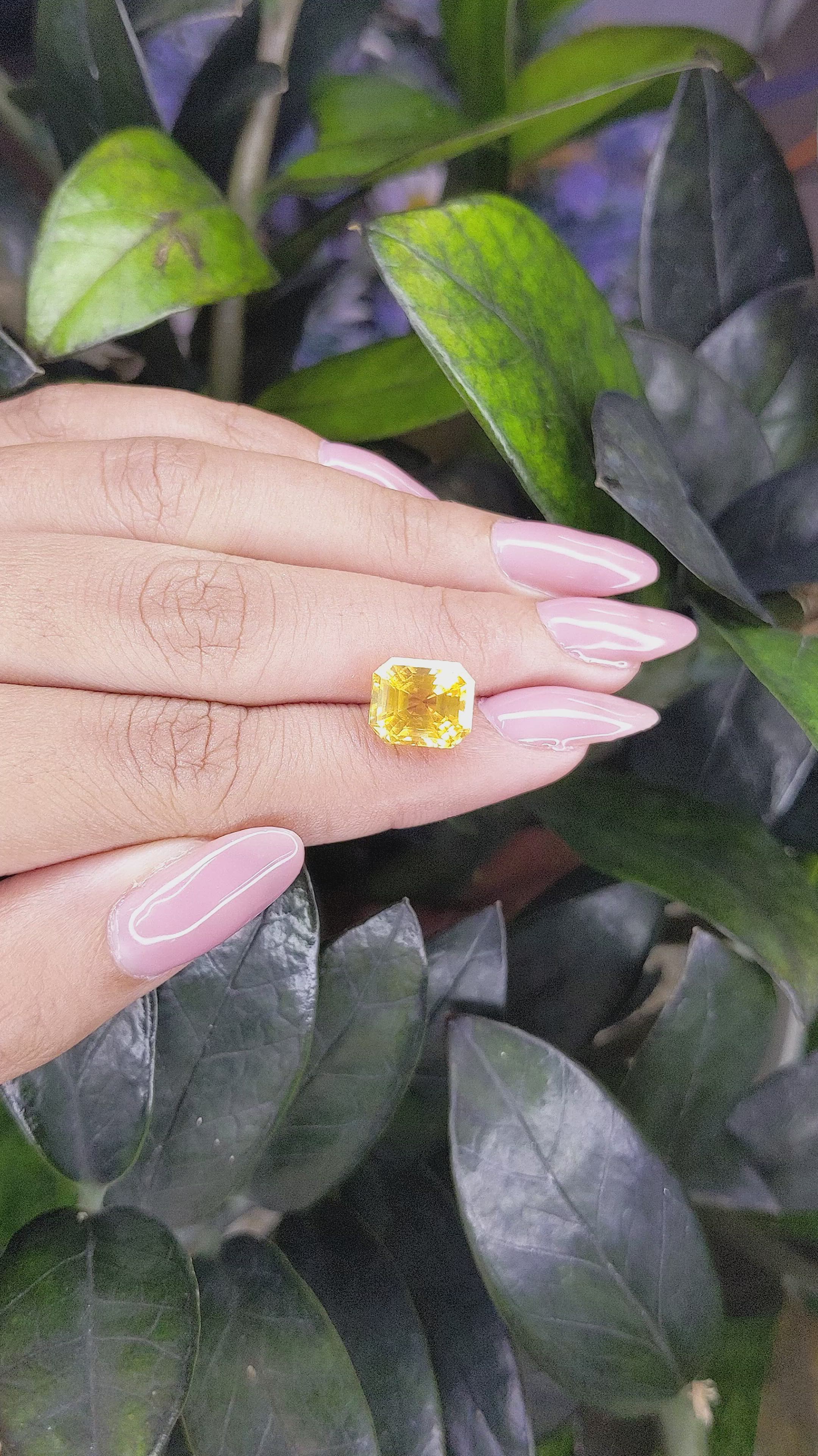 6.06 Ct. Yellow Sapphire from Ceylon (Sri Lanka) Size Video