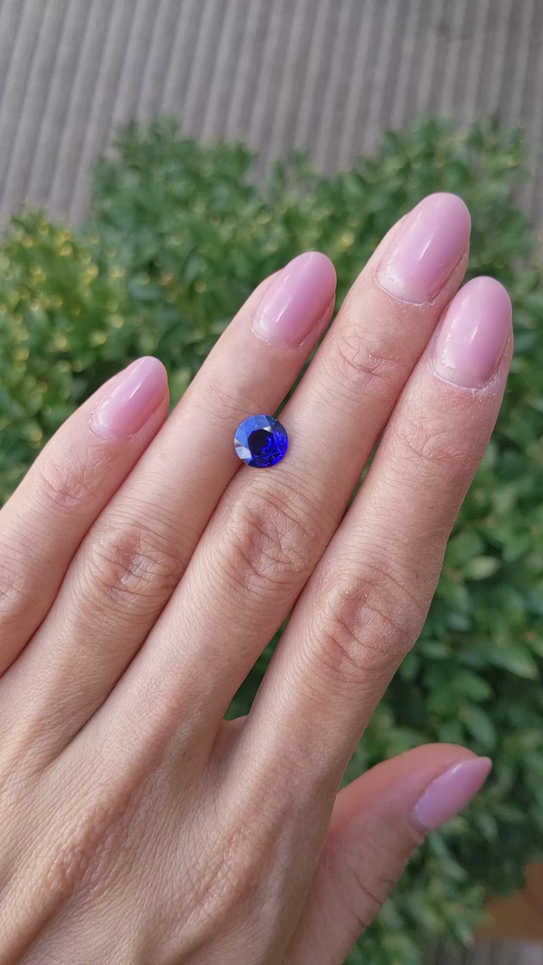 1.64 Ct. Blue Sapphire from Ceylon (Sri Lanka) Size Video