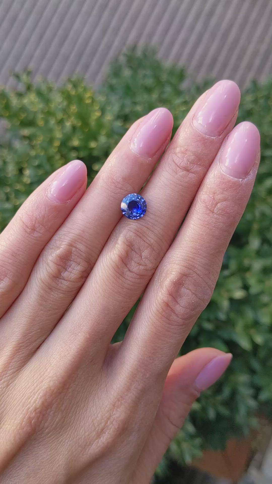 1.54 Ct. Blue Sapphire from Ceylon (Sri Lanka) Size Video