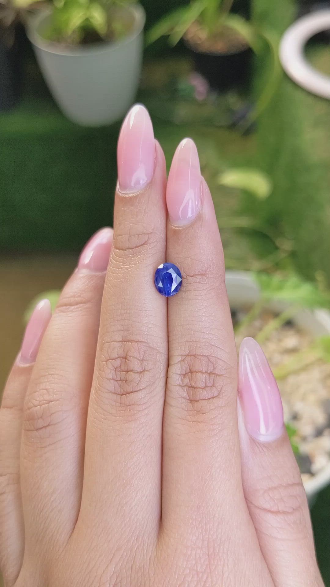 1.66 Ct. Blue Sapphire from Ceylon (Sri Lanka) Size Video