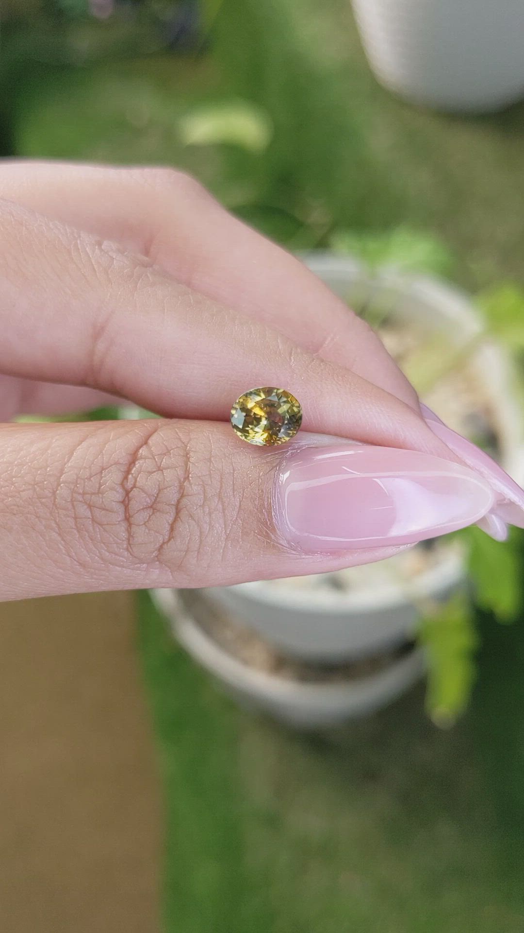 1.62 Ct. Bi Color Sapphire from Ceylon (Sri Lanka) Size Video