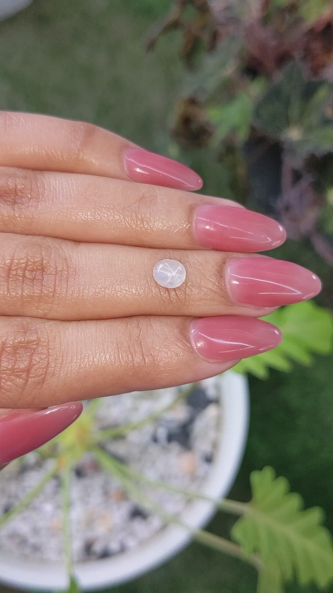 1.11 Ct. Grey Star Sapphire from Ceylon (Sri Lanka) Size Video