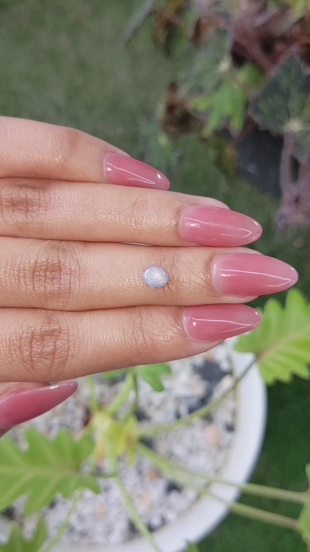 0.82 Ct. Grey Star Sapphire from Ceylon (Sri Lanka) Size Video