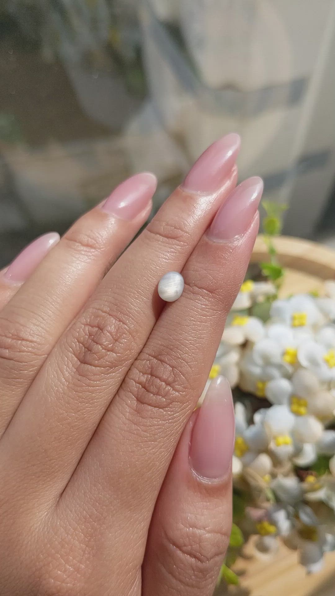 1.37 Ct. Grey Star Sapphire from Ceylon (Sri Lanka) Size Video