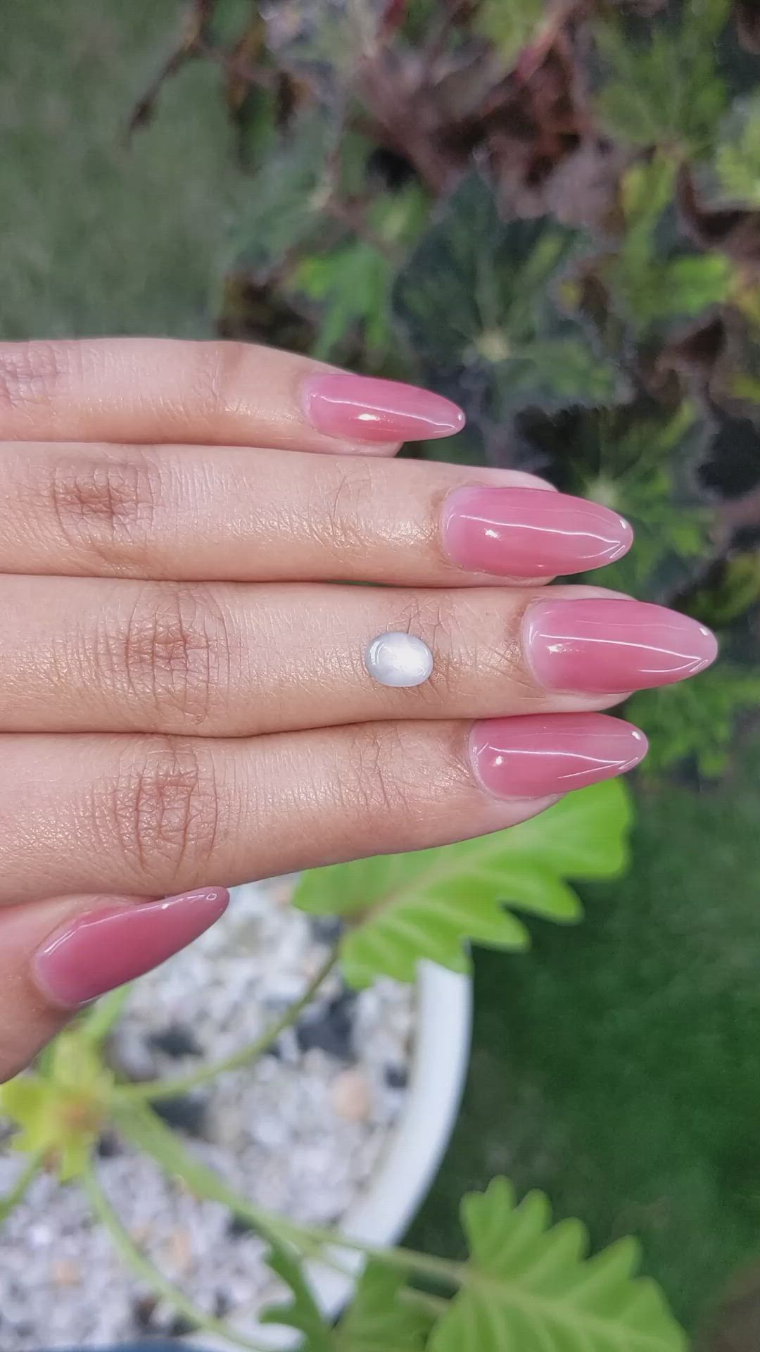 1.37 Ct. Grey Star Sapphire from Ceylon (Sri Lanka) Size Video