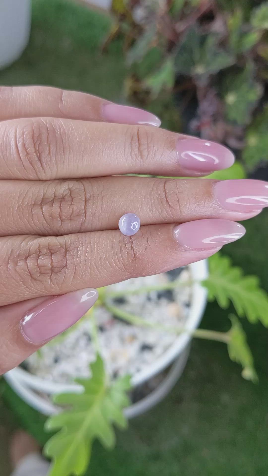 1.18 Ct. Violet Star Sapphire from Ceylon (Sri Lanka) Size Video