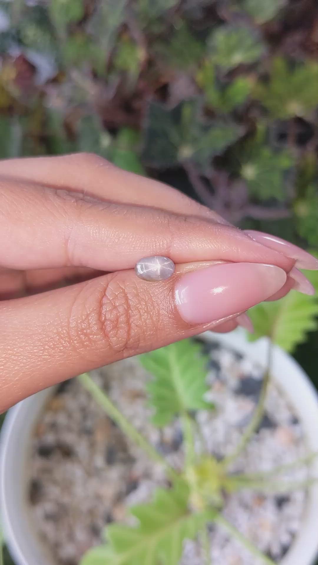 1.59 Ct. Grey Star Sapphire from Ceylon (Sri Lanka) Size Video