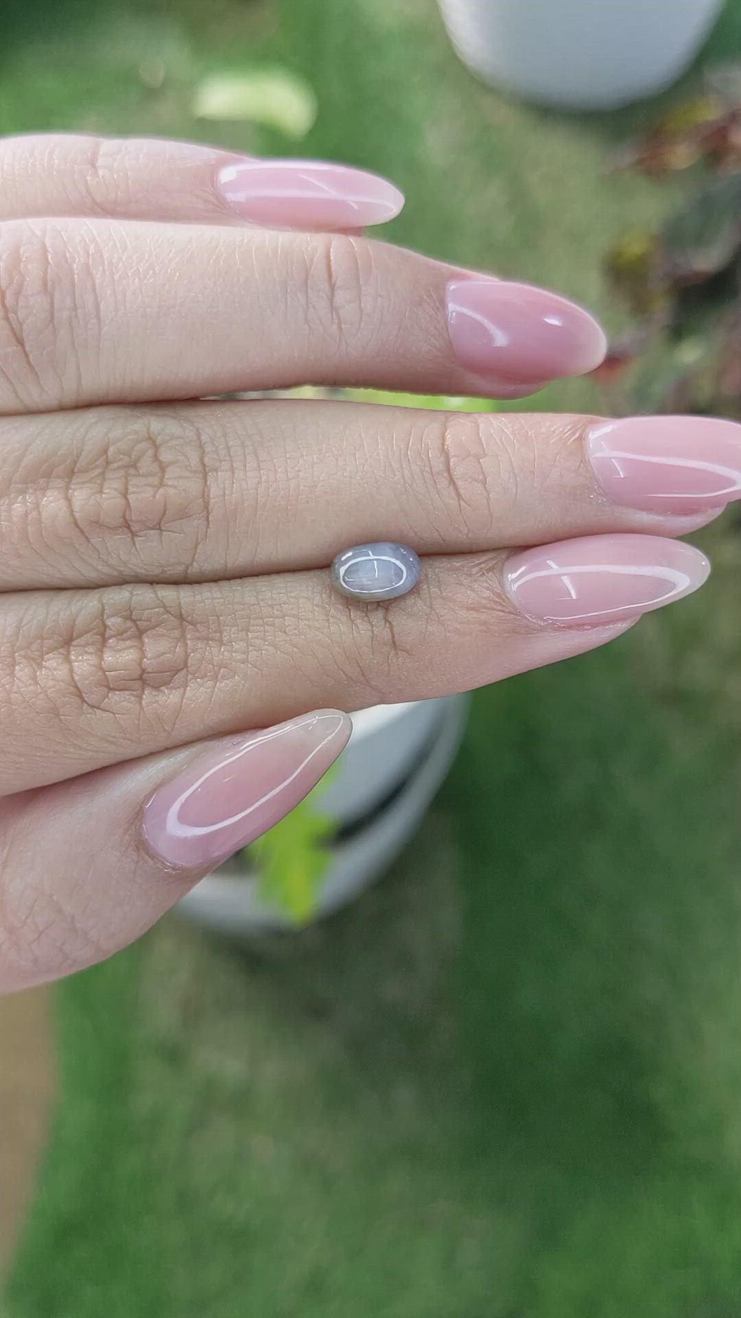 1.59 Ct. Grey Star Sapphire from Ceylon (Sri Lanka) Size Video