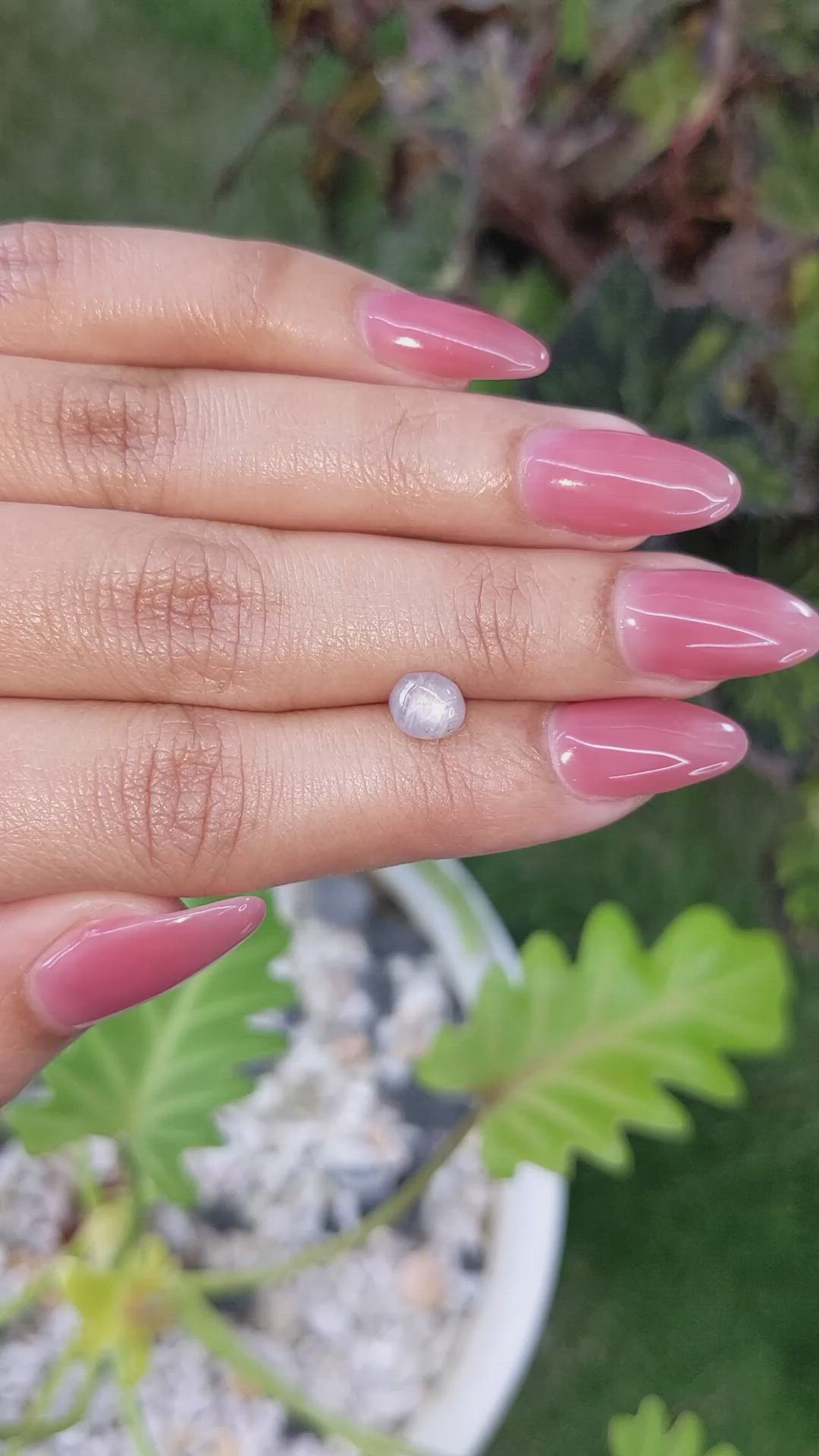 1.79 Ct. Grey Star Sapphire from Ceylon (Sri Lanka) Size Video