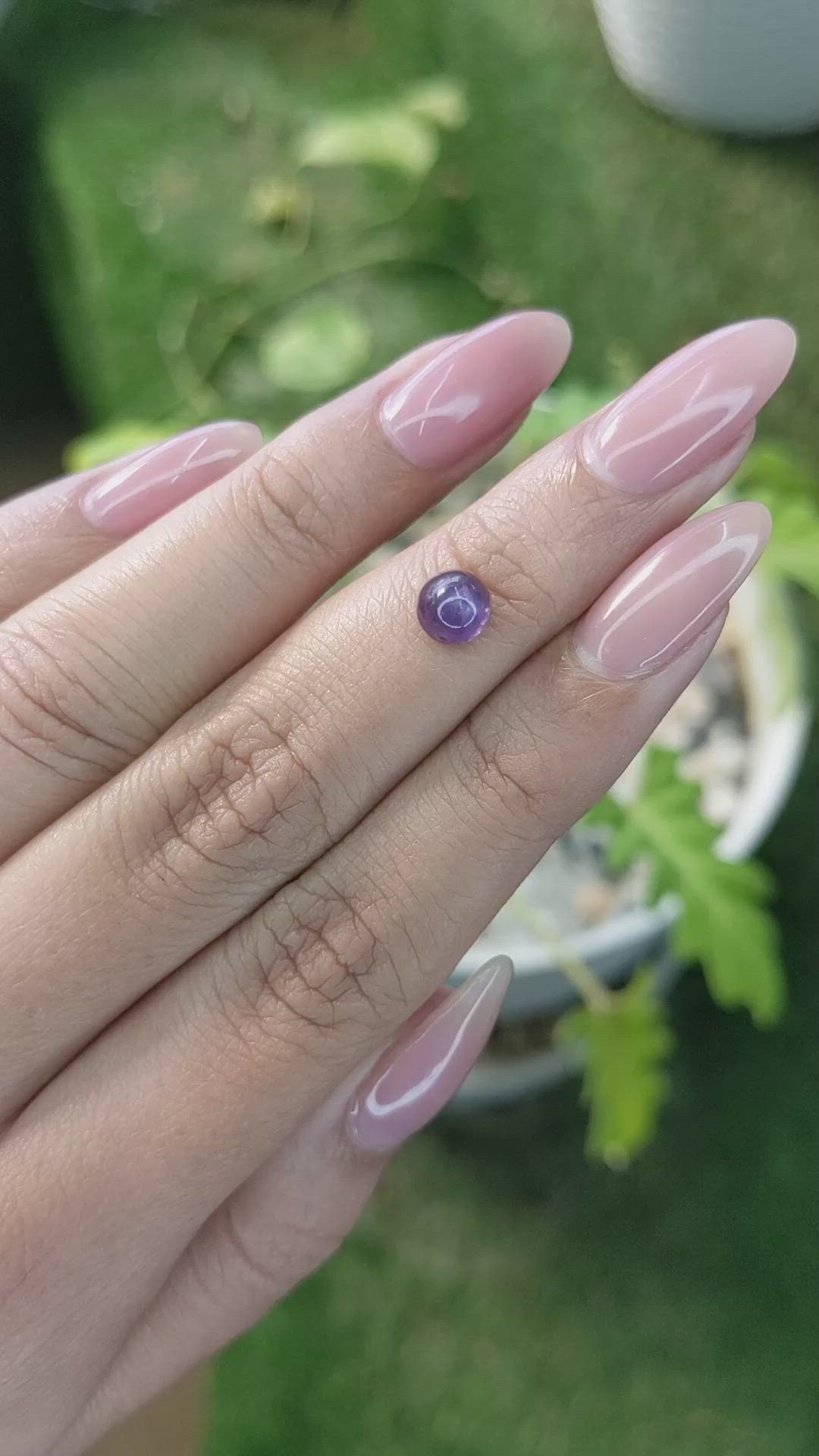 1.42 Ct. Purple Cabochon Sapphire from Ceylon (Sri Lanka) Size Video