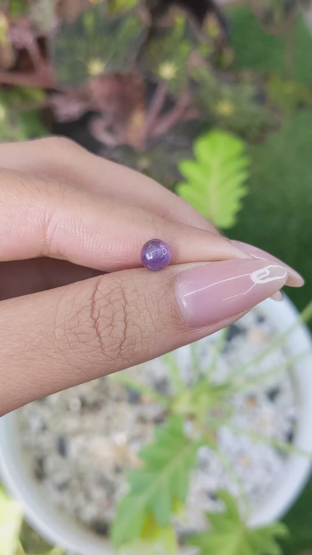 1.42 Ct. Purple Cabochon Sapphire from Ceylon (Sri Lanka) Size Video
