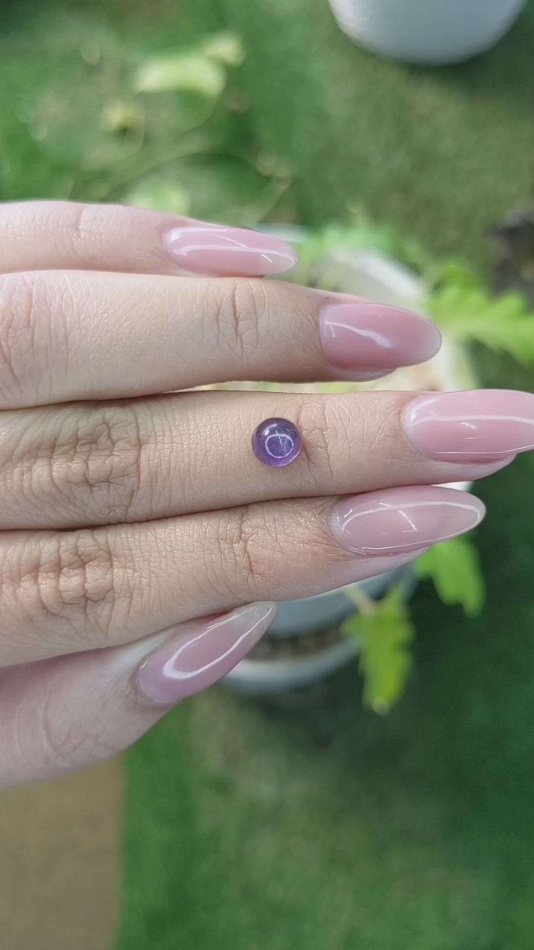 1.42 Ct. Purple Cabochon Sapphire from Ceylon (Sri Lanka) Size Video