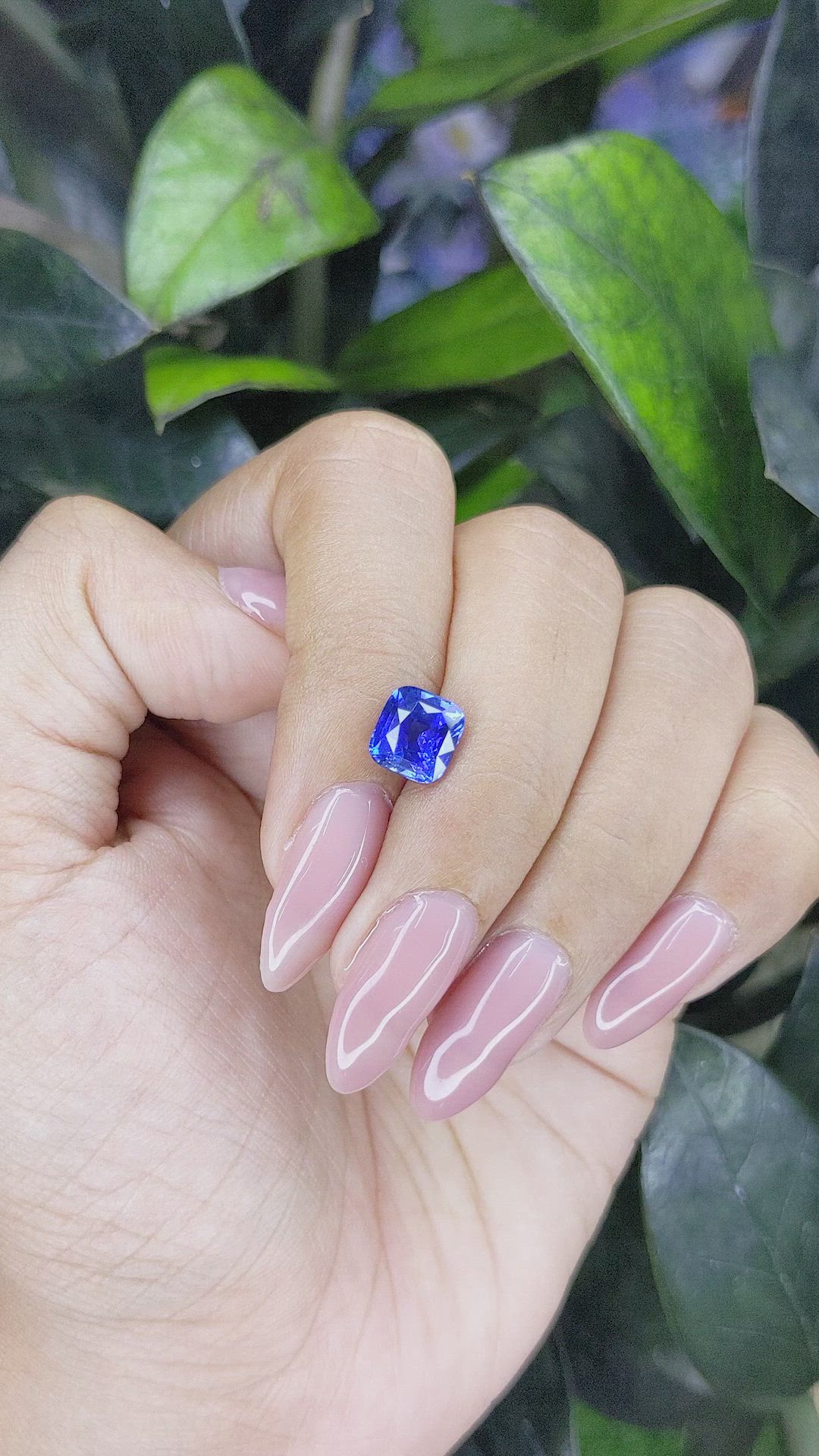 2.36 Ct. Blue Sapphire from Ceylon (Sri Lanka) Size Video