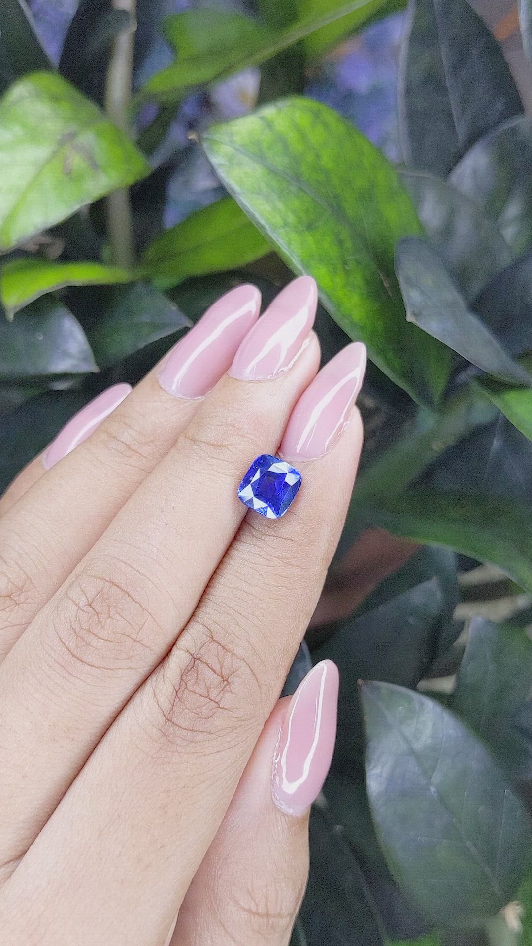 2.36 Ct. Blue Sapphire from Ceylon (Sri Lanka) Size Video